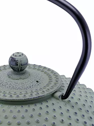 BREDEMEIJER | Tetera de hierro fundido XILIN 1,25l Verde claro | 